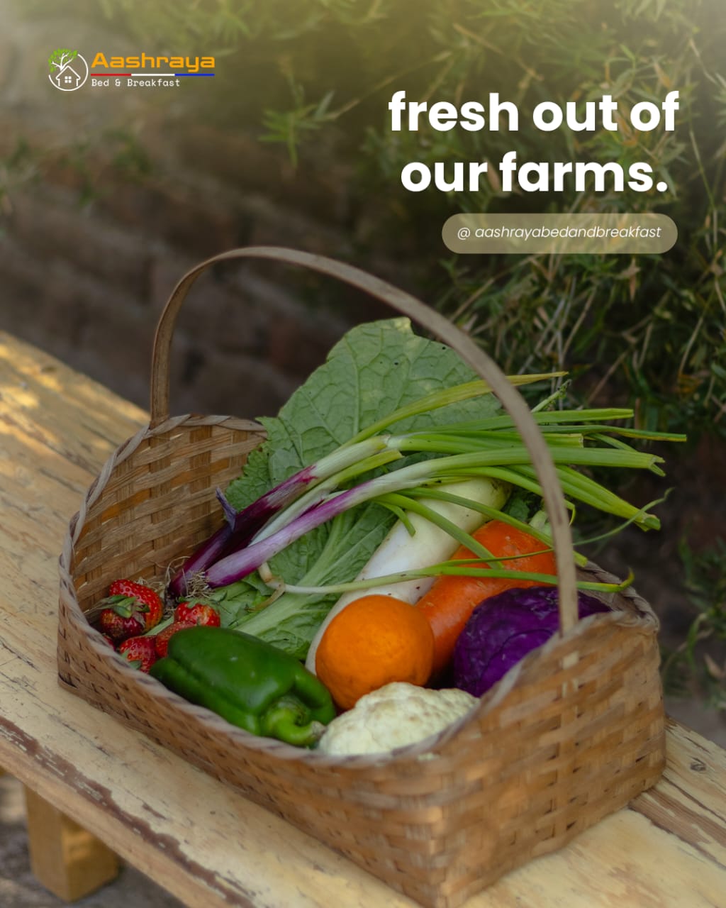 Aashraya Bed And Breakfast